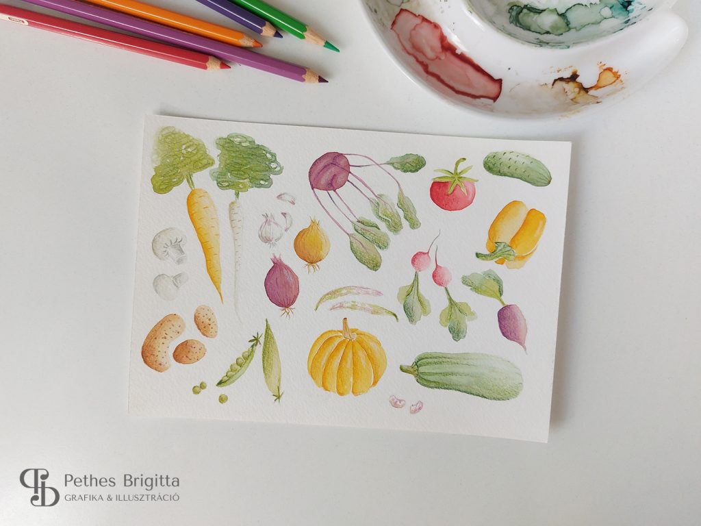 Illusztráció képzés | Kedvenc feladataim I.