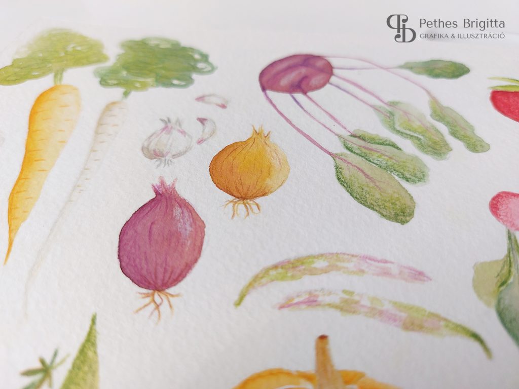 Illusztráció képzés | Kedvenc feladataim I.
