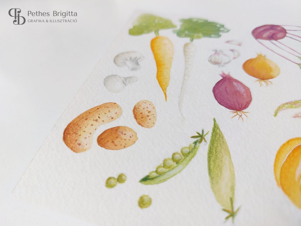 Illusztráció képzés | Kedvenc feladataim I.