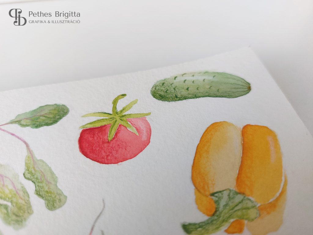 Illusztráció képzés | Kedvenc feladataim I.